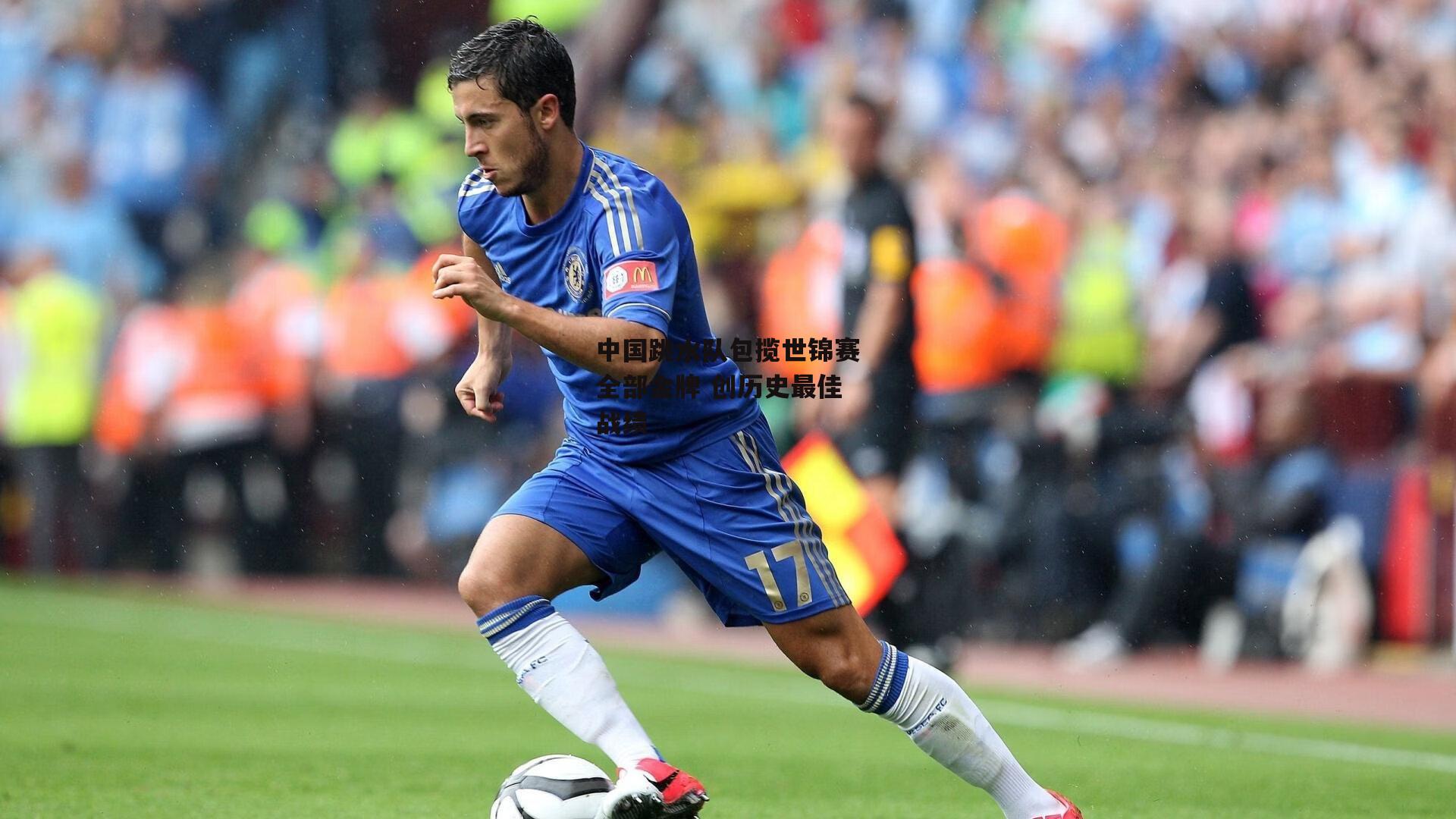 中国跳水队包揽世锦赛全部金牌 创历史最佳战绩