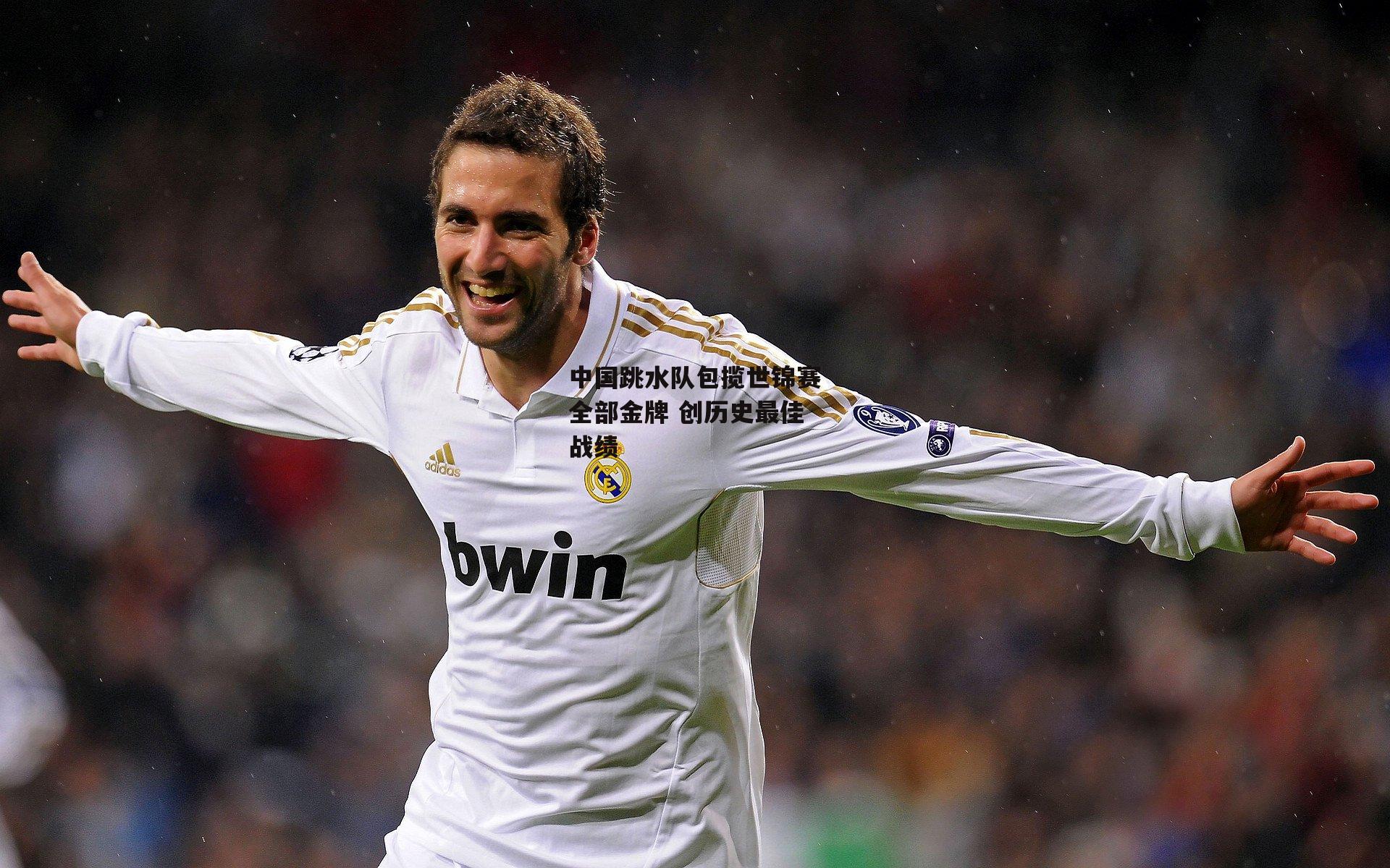 中国跳水队包揽世锦赛全部金牌 创历史最佳战绩