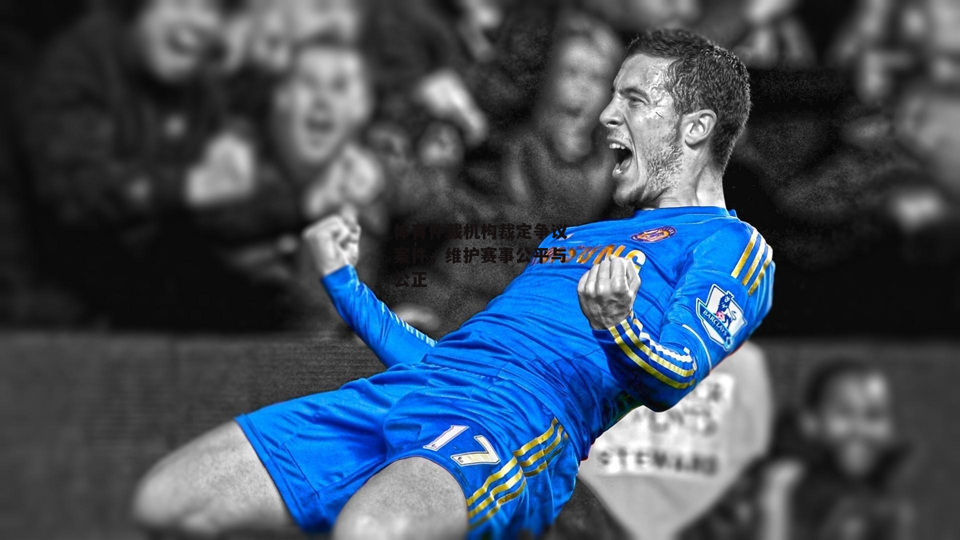 体育仲裁机构裁定争议案件，维护赛事公平与公正