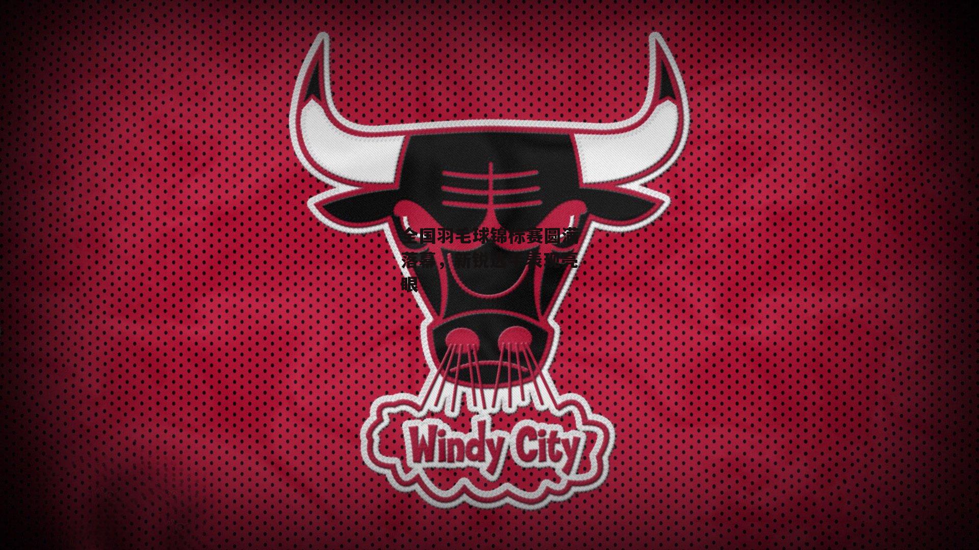 全国羽毛球锦标赛圆满落幕，新锐选手表现亮眼