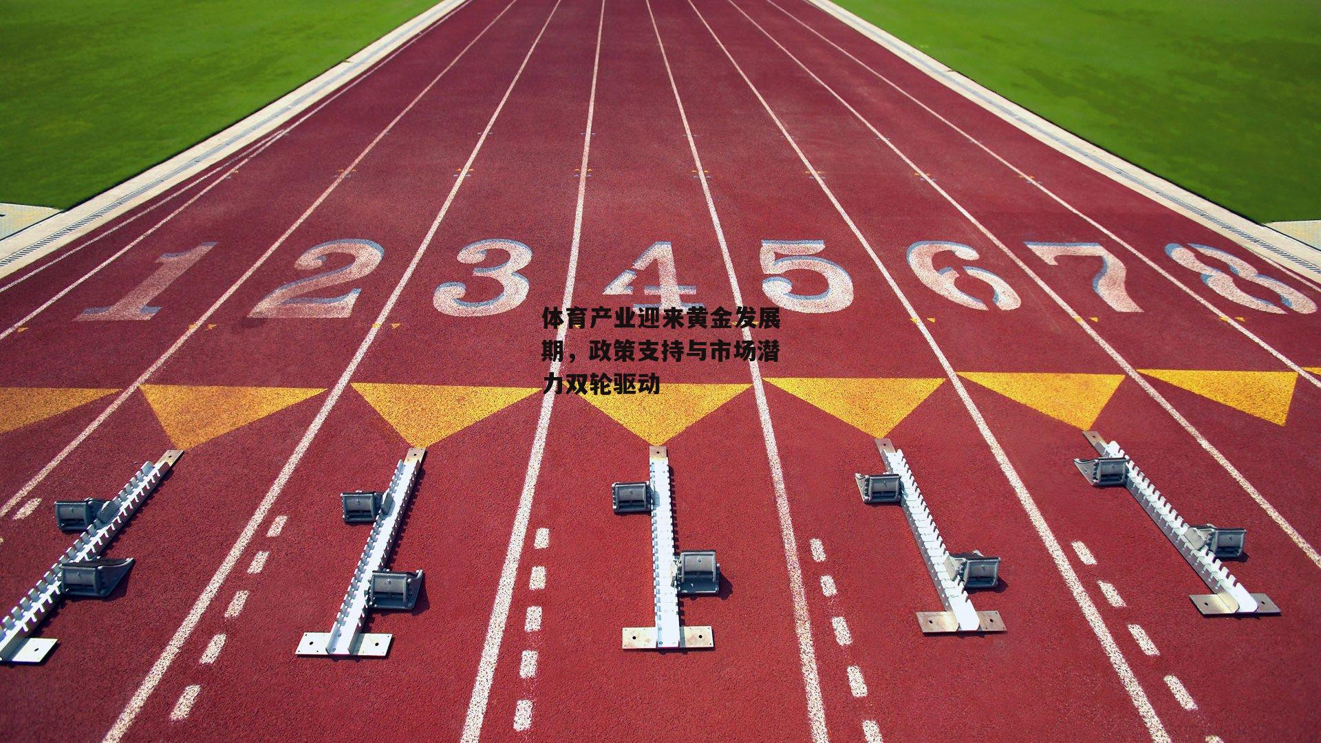 体育产业迎来黄金发展期，政策支持与市场潜力双轮驱动